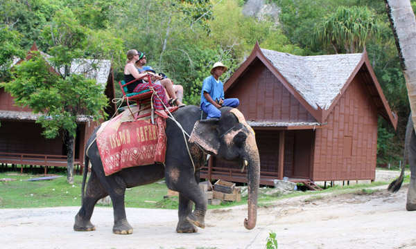Phuket Safari Tour